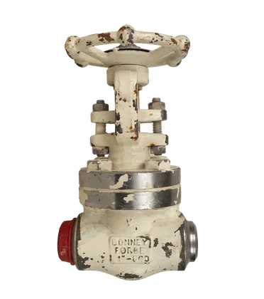 شیر کشویی فورج دستی Bonney Forge مدل HL 105، سایز ۱ اینچ، کلاس 800، بدنه F316L