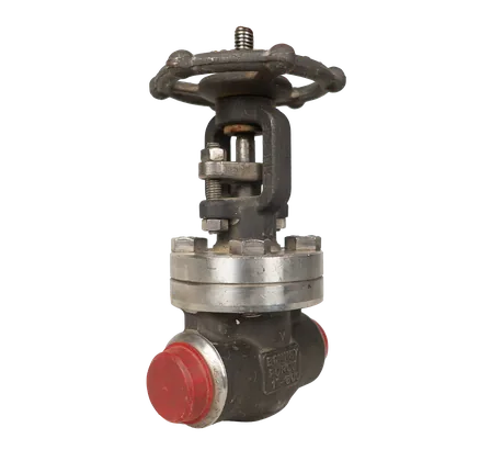شیر کروی فورج استیل Bonney Forge کلاس 800 سایز 1 اینچ