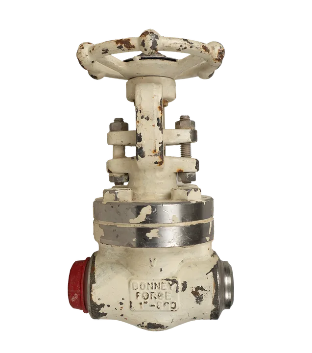 شیر کشویی فورج دستی Bonney Forge مدل HL 105، سایز ۱ اینچ، کلاس 800، بدنه F316L - تصویر اصلی - تصویر محصول
