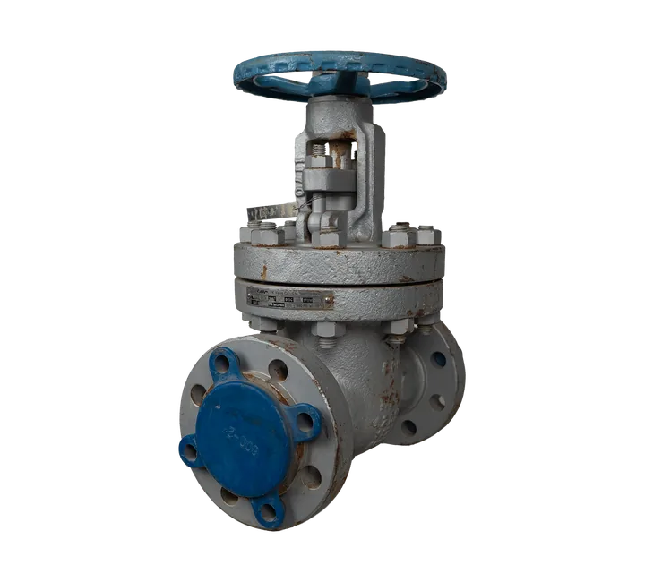 شیر دروازه‌ای دستی فلنجی PK Valve سایز DN150 کلاس 600 بدنه CF8 - تصویر اصلی - تصویر محصول