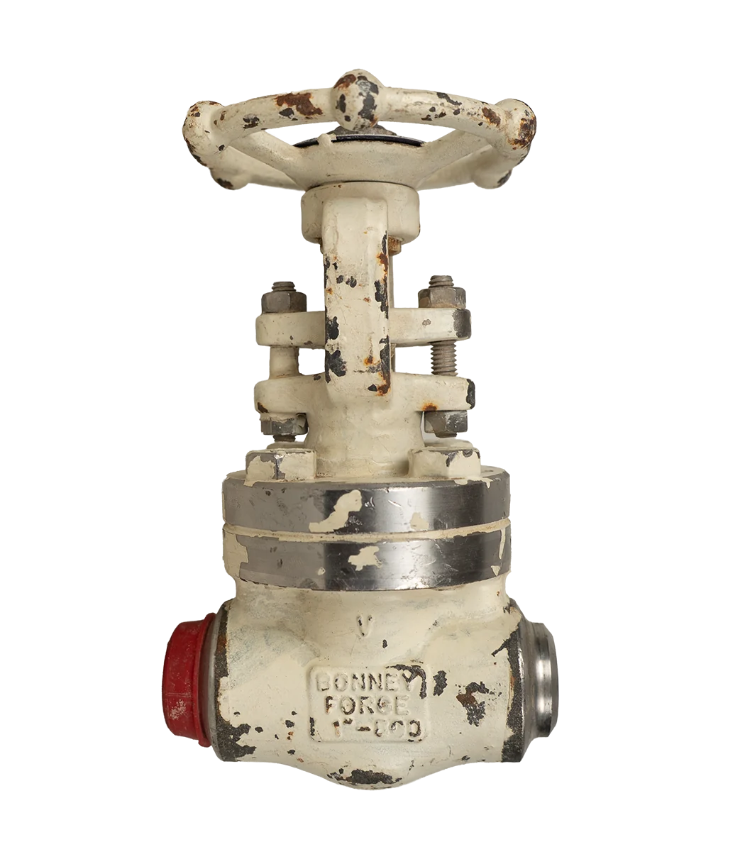 شیر کشویی فورج دستی Bonney Forge مدل HL 105، سایز ۱ اینچ، کلاس 800، بدنه F316L - تصویر اصلی - تصویر محصول